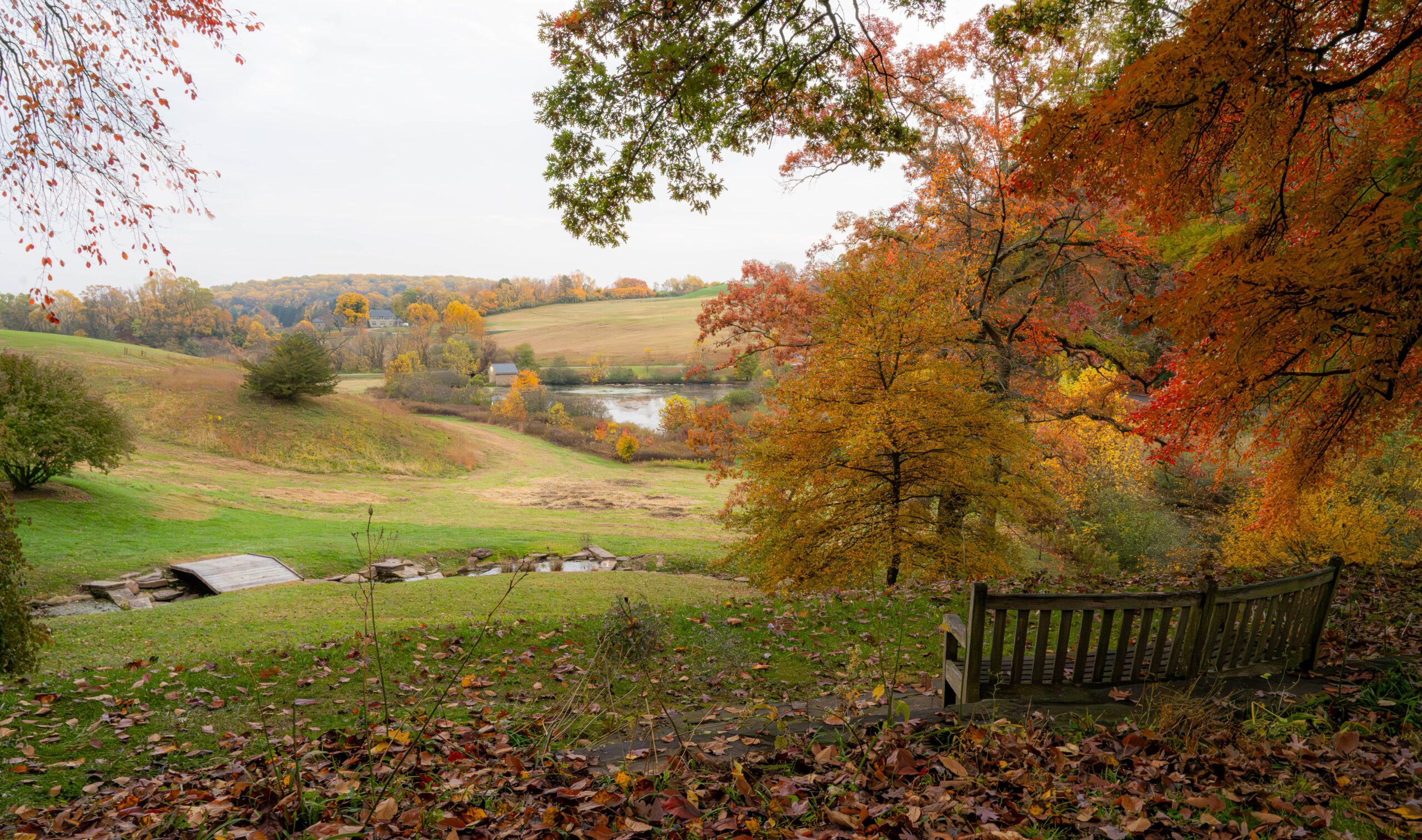 How to Photograph Fall at Winterthur - Winterthur Museum, Garden & Library