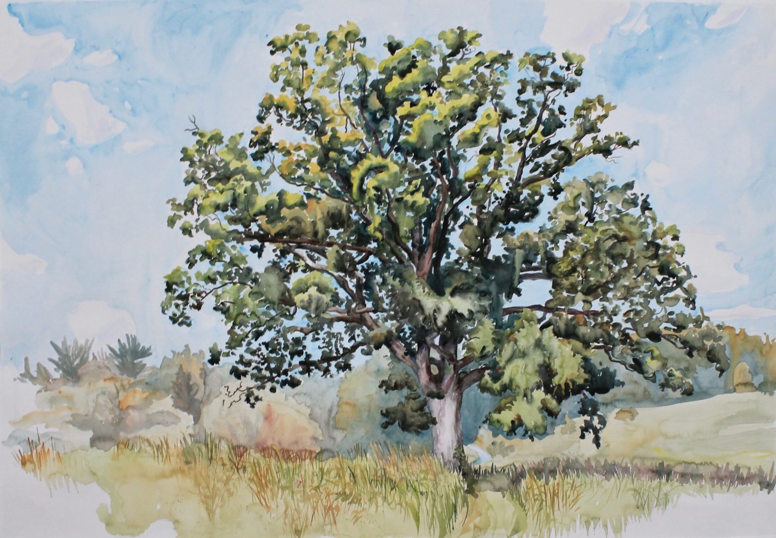 "Brown's Meadow Oak" by "Transformations" artist Rob Finn